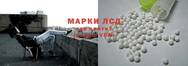 амф Новозыбков