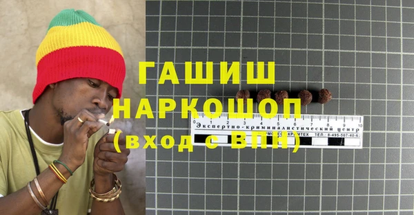 амф Новозыбков