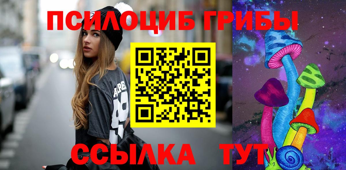 Карабулак  Псилоцибиновые грибы Psilocybe  где продают   Галлюциногенные грибы мицелий  Вход с VPN 
