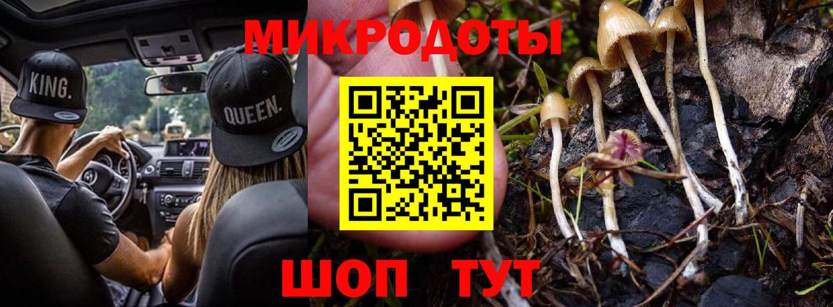 Галлюциногенные грибы GOLDEN TEACHER Карабулак